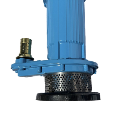 Дренажний насос занурювальний фекальний з поплавком Expert Pump QDX 1.1 кВт для зливної ями будинку Дренажний насос занурювальний фекальний з поплавком Expert Pump QDX 1.1 кВт для зливної ями будинку